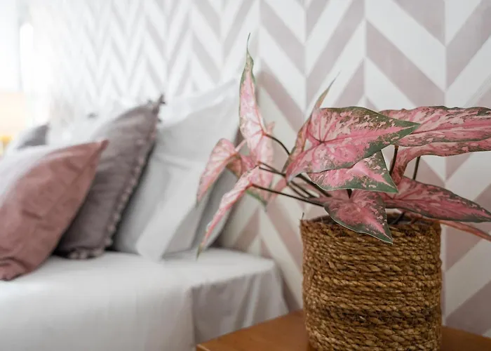 Guestready - Urban Paradise In *