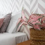 Guestready - Urban Paradise In *